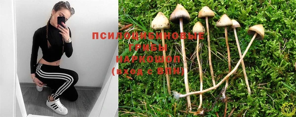 кокс Киренск