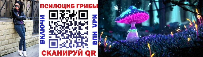 Купить где  Удомля  Псилоцибиновые грибы мицелий 